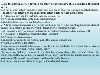Along the anteroposterior direction the following arteries have their origin from the dorsal
aorta:
1. A pair of small subclavian arteries arise from near the origin of the fourth epibranchial arteries.
The subclavian artery gets the epicoracoid artery on its way and divides into:
(i) A branchial artery to the pectoral girdle and pectoral fin,
(ii) An anterolateral artery to the body musculature and
(iii) A dorsolateral artery to the dorsal musculature.
2. A large coeliacomesenteric artery arises just behind the origin of fourth epibranchial artery. It
divides into a smaller coeliac artery and a larger anterior mesenteric artery.
3. A lienogastric artery originates posterior to the coeliacomesenteric artery and gives off:
(i) An ovarian (in females) or spermatic artery (in males),
(ii) A posterior intestinal artery,
(iii) A posterior gastric to the posterior part of the cardiac stomach and
(iv) A splenic artery to the spleen.
4. Series of paired parietal arteries emerge out behind the subclavian artery. Each parietal gives a
dorsal parietal artery and a ventral parietal artery.
The dorsal parietal artery supplies to the dorsolateral musculature, the vertebral column, the
spinal cord and the dorsal fin. The ventral parietal artery supplies to the ventral muscles and the
peritoneum. The ventral parietal gives renal branches to the kidneys.
6. A pair of iliac arteries extend to the pelvic fin as femoral arteries.
 