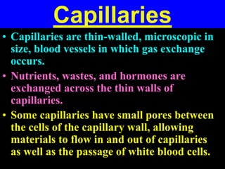 CIRCULATORY SYSTEM, Blood, heart and blood vessels.ppt