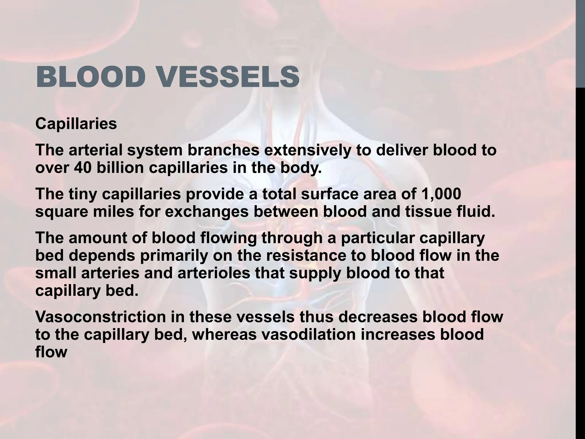 BLOOD VESSELS
Capillaries
The arterial system branches extensively to deliver blood to
over 40 billion capillaries in the body.
The tiny capillaries provide a total surface area of 1,000
square miles for exchanges between blood and tissue fluid.
The amount of blood flowing through a particular capillary
bed depends primarily on the resistance to blood flow in the
small arteries and arterioles that supply blood to that
capillary bed.
Vasoconstriction in these vessels thus decreases blood flow
to the capillary bed, whereas vasodilation increases blood
flow
 