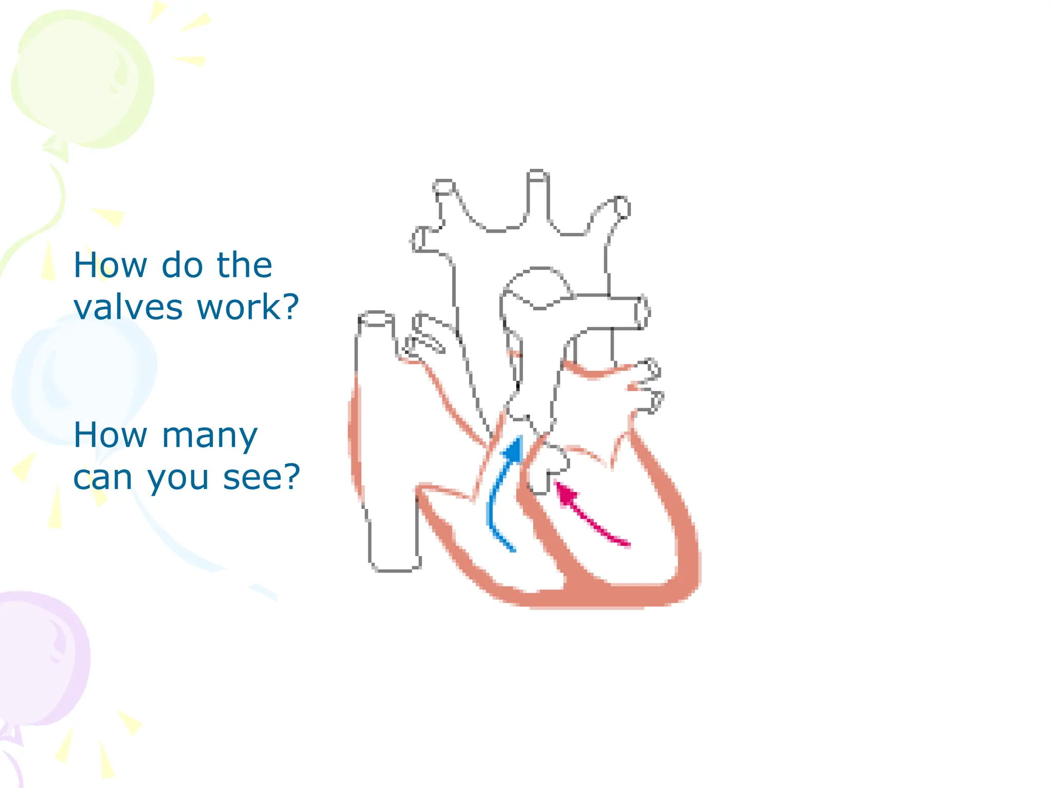 How do the
valves work?
How many
can you see?
 