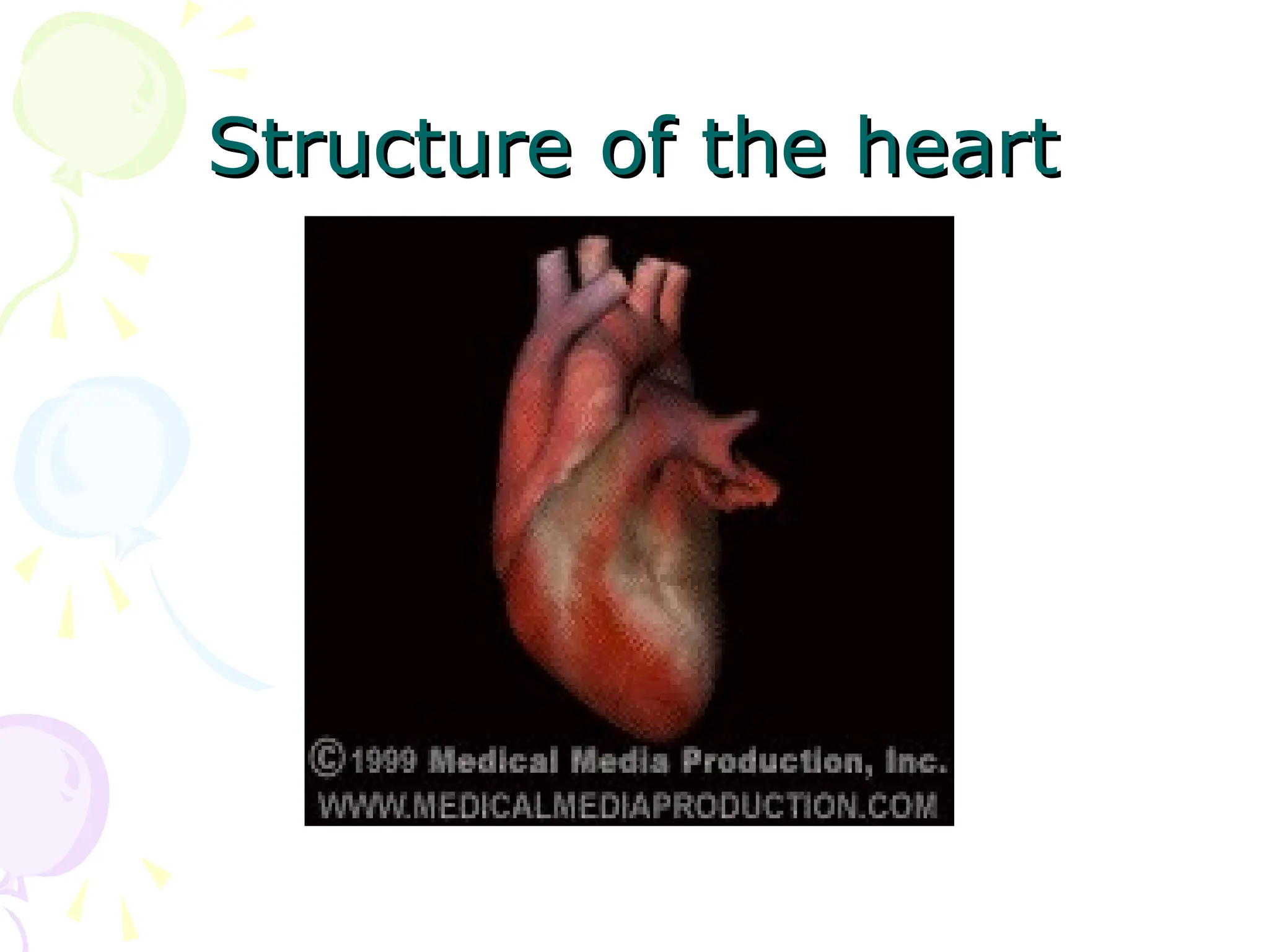 Structure of the heart
Structure of the heart
 