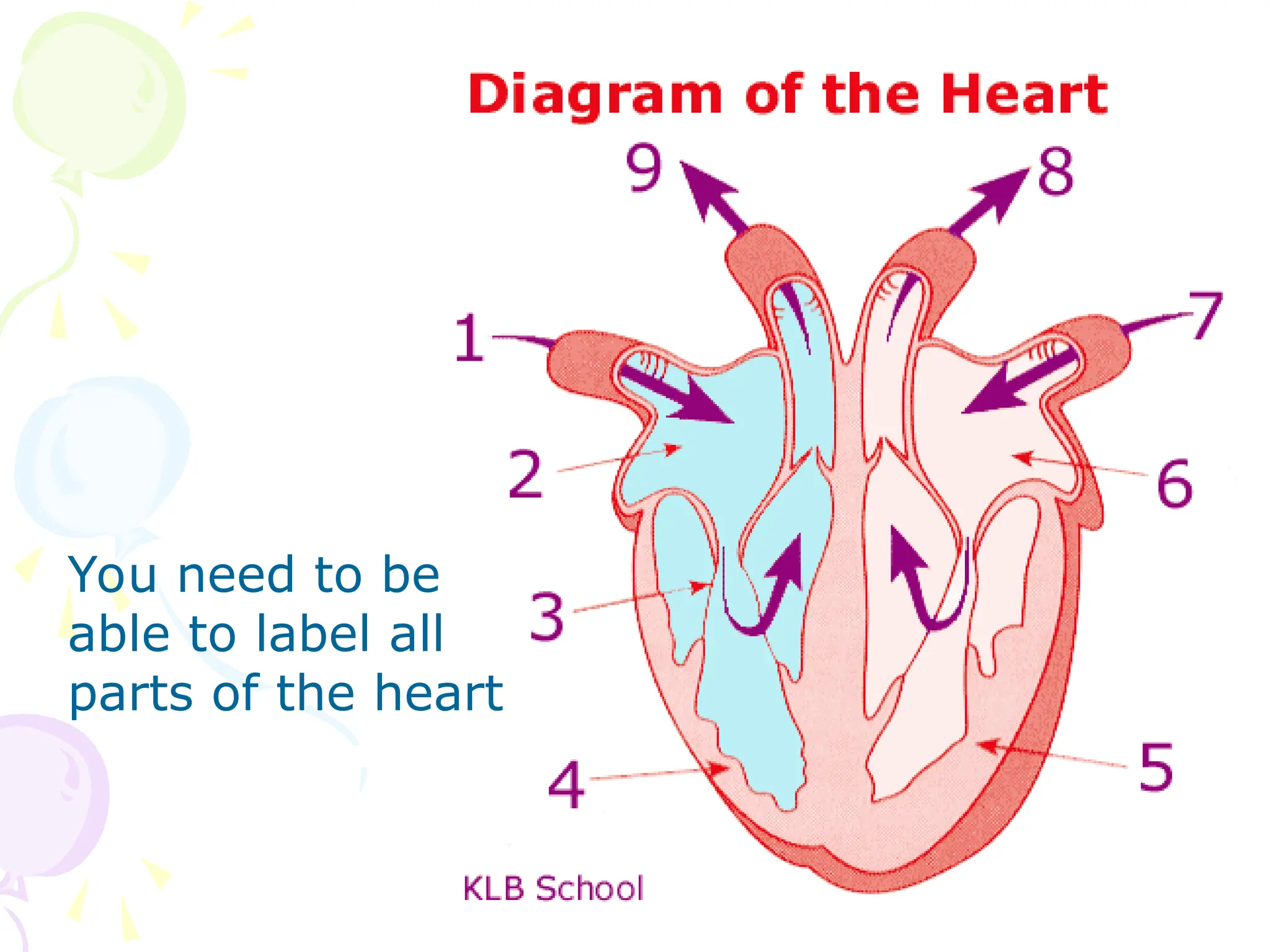 You need to be
able to label all
parts of the heart
 