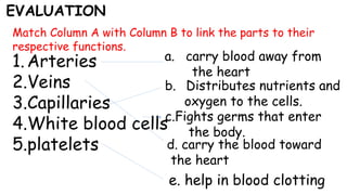 EVALUATION
Match Column A with Column B to link the parts to their
respective functions.
1.Arteries
2.Veins
3.Capillaries
4.White blood cells
5.platelets
a. carry blood away from
the heart
b. Distributes nutrients and
oxygen to the cells.
c.Fights germs that enter
the body.
d. carry the blood toward
the heart
e. help in blood clotting
 
