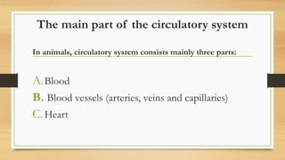 The main part of the circulatory system
In animals, circulatory system consists mainly three parts:
A.Blood
B. Blood vessels (arteries, veins and capillaries)
C.Heart
 