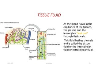 Circulatory system for class 10th ICSE board | PDF