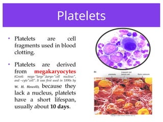 A circulatory systems of humans including heart, pumping organ.ppt