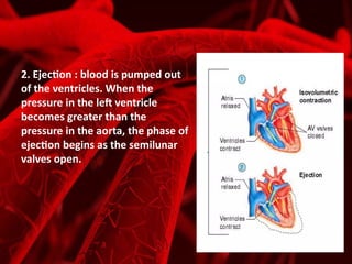 circulatory system.pptx aaaaàaaaaaaaaaaa | PPTX
