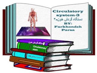 Circulatory system 3