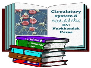 Circulatory system 5