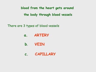 blood from the heart gets around
the body through blood vessels
There are 3 types of blood vessels
a. ARTERY
b. VEIN
c. CAPILLARY
 