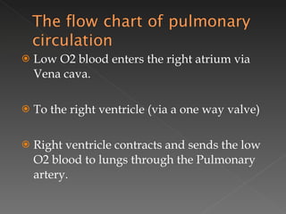 Low O2 blood enters the right atrium via Vena cava. To the right ventricle (via a one way valve) Right ventricle contracts and sends the low O2 blood to lungs through the Pulmonary artery. 
