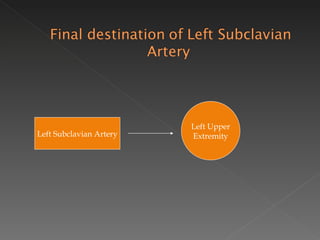 Left Subclavian Artery Left Upper Extremity 