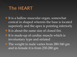 It is a hallow muscular organ, somewhat conical in shaped wherein the base is located superiorly and the apex is pointing inferiorly It is about the same size of closed fist. It is made-up of cardiac muscle which is involuntary type and striated The weight in male varies from 280-340 gm and in female it is from 230-280 gm 