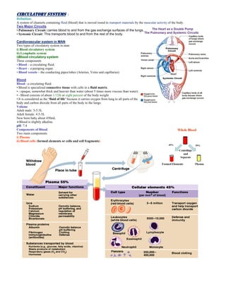 Circulatory System by Sami | PDF