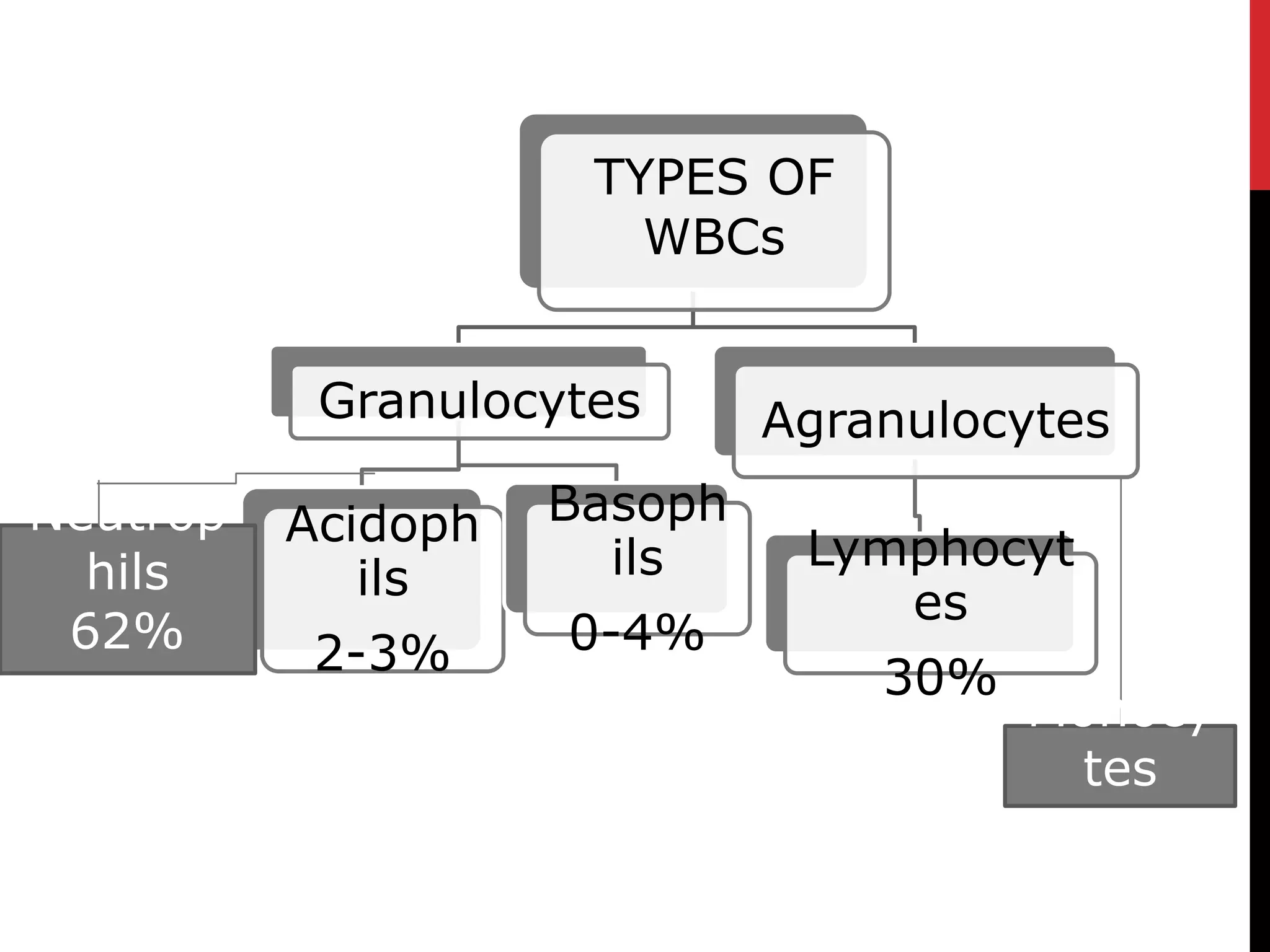 TYPES OF
WBCs
Granulocytes
Acidoph
ils
2-3%
Basoph
ils
0-4%
Agranulocytes
Lymphocyt
es
30%
Neutrop
hils
62%
Monocy
tes
5-3%
 