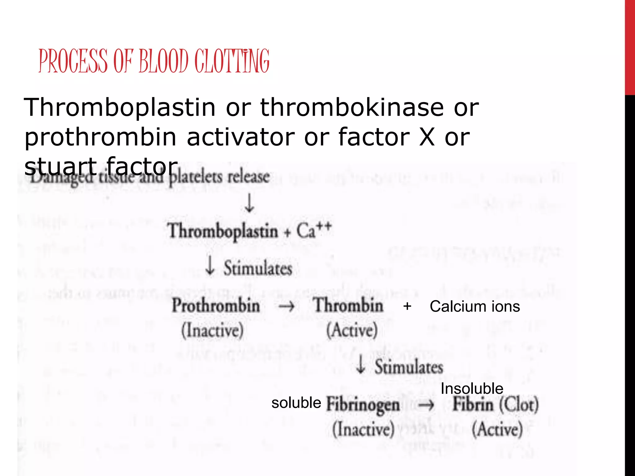 PROCESS OF BLOOD CLOTTING
Thromboplastin or thrombokinase or
prothrombin activator or factor X or
stuart factor
+ Calcium ions
soluble
Insoluble
 