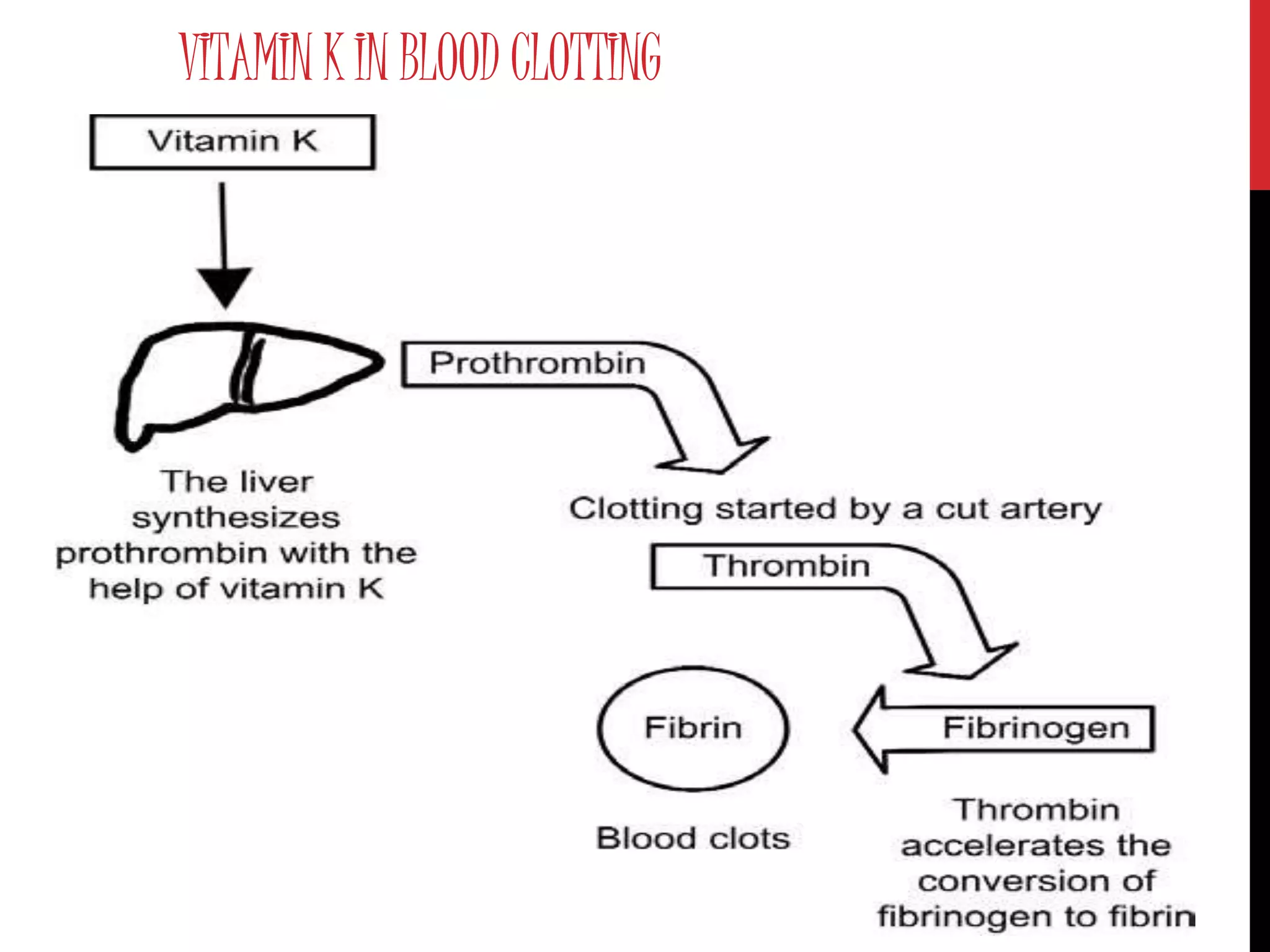 VITAMIN K IN BLOOD CLOTTING
 
