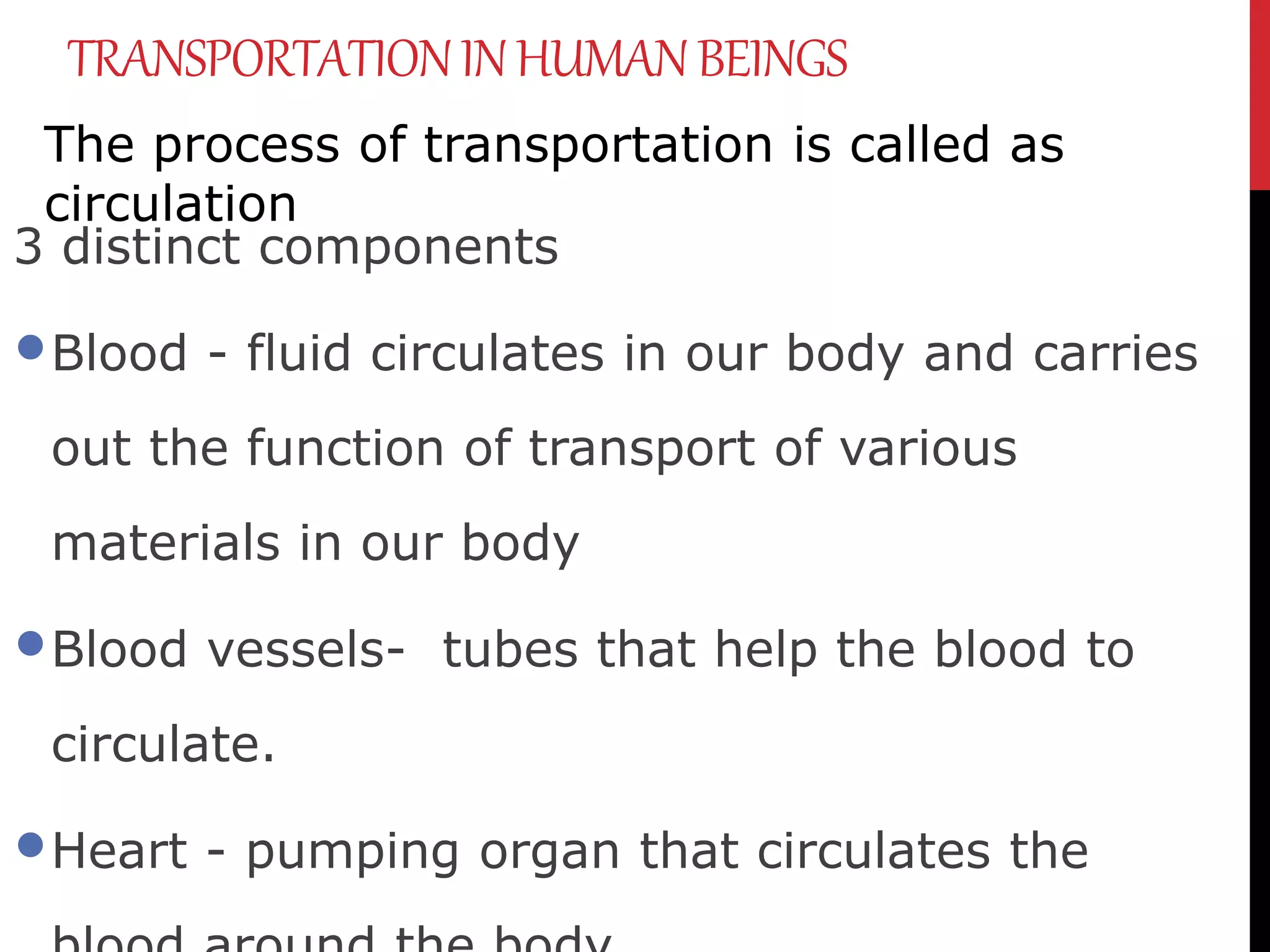 TRANSPORTATIONINHUMANBEINGS
The process of transportation is called as
circulation
3 distinct components
Blood - fluid circulates in our body and carries
out the function of transport of various
materials in our body
Blood vessels- tubes that help the blood to
circulate.
Heart - pumping organ that circulates the
 