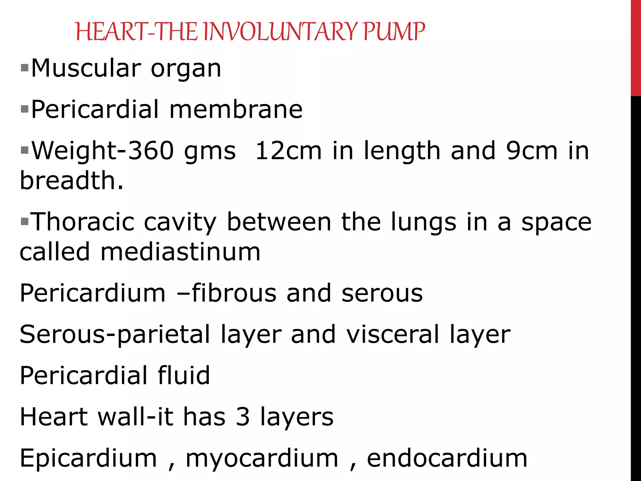 HEART-THEINVOLUNTARYPUMP
Muscular organ
Pericardial membrane
Weight-360 gms 12cm in length and 9cm in
breadth.
Thoracic cavity between the lungs in a space
called mediastinum
Pericardium –fibrous and serous
Serous-parietal layer and visceral layer
Pericardial fluid
Heart wall-it has 3 layers
Epicardium , myocardium , endocardium
 