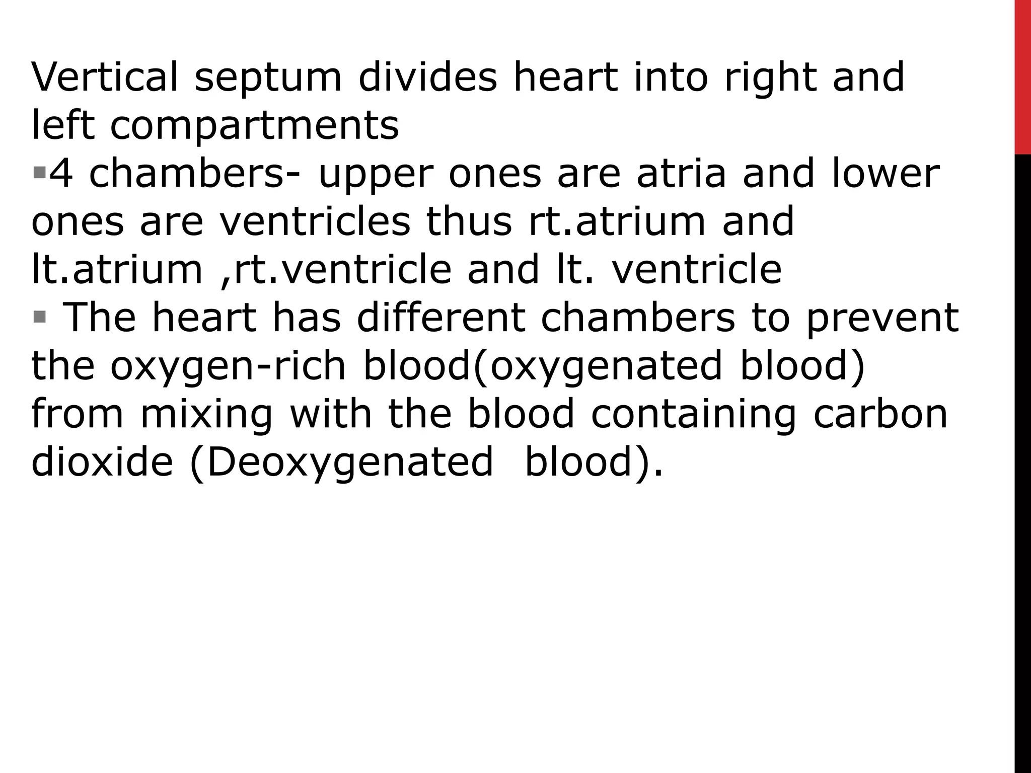 Vertical septum divides heart into right and
left compartments
4 chambers- upper ones are atria and lower
ones are ventricles thus rt.atrium and
lt.atrium ,rt.ventricle and lt. ventricle
 The heart has different chambers to prevent
the oxygen-rich blood(oxygenated blood)
from mixing with the blood containing carbon
dioxide (Deoxygenated blood).
 