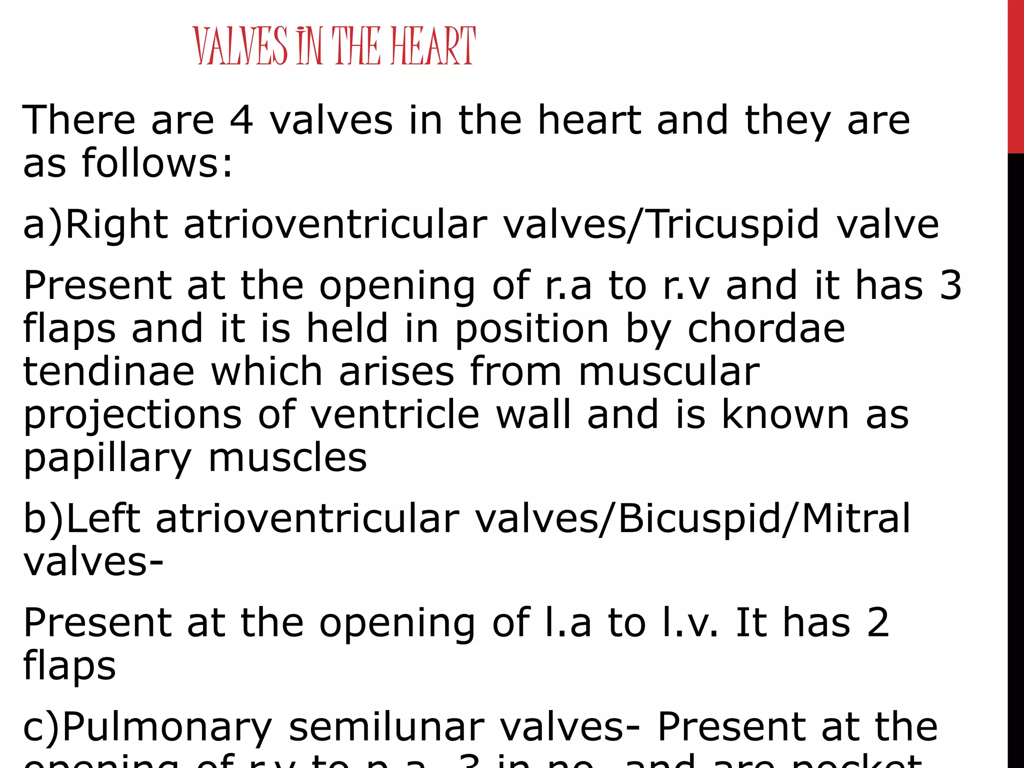 VALVESIN THE HEART
There are 4 valves in the heart and they are
as follows:
a)Right atrioventricular valves/Tricuspid valve
Present at the opening of r.a to r.v and it has 3
flaps and it is held in position by chordae
tendinae which arises from muscular
projections of ventricle wall and is known as
papillary muscles
b)Left atrioventricular valves/Bicuspid/Mitral
valves-
Present at the opening of l.a to l.v. It has 2
flaps
c)Pulmonary semilunar valves- Present at the
 