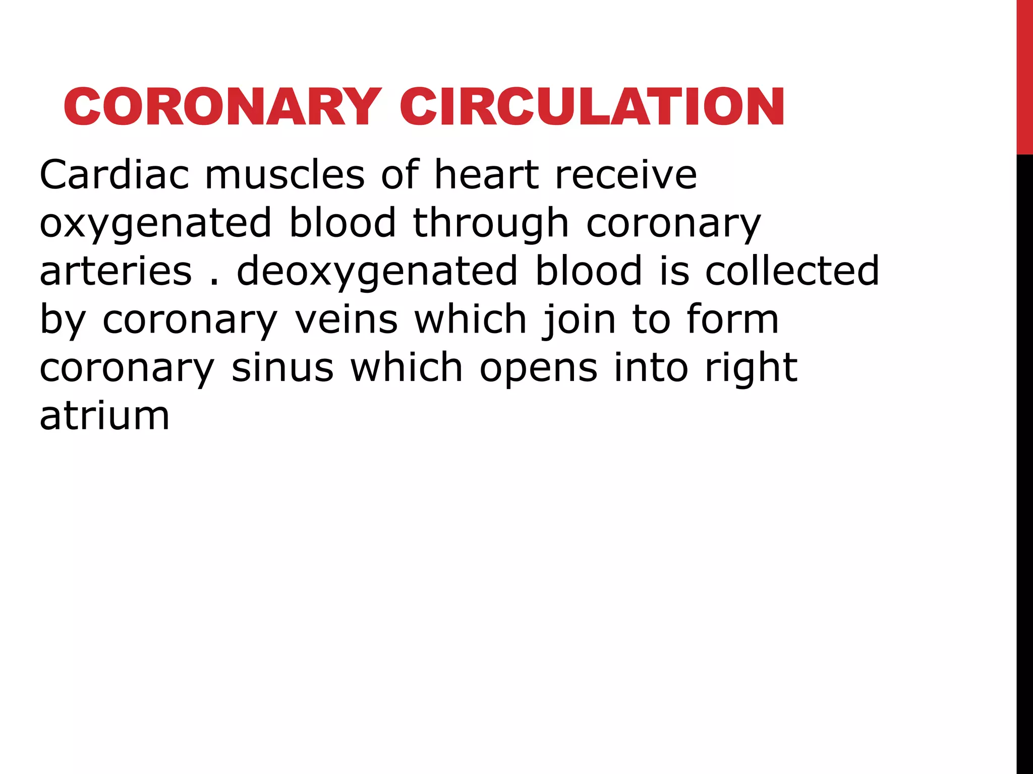 CORONARY CIRCULATION
Cardiac muscles of heart receive
oxygenated blood through coronary
arteries . deoxygenated blood is collected
by coronary veins which join to form
coronary sinus which opens into right
atrium
 