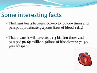 Some interesting facts
  The heart beats between 80,000 to 100,000 times and
  pumps approximately 23,000 liters of blood a day!

  That means it will have beat 2-3 billion times and
  pumped 50-65 million gallons of blood over a 70-90
  year lifespan.
 