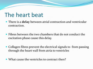 The heart beat
 There is a delay between atrial contraction and ventricular
  contraction.

 Fibres between the two chambers that do not conduct the
  excitation phase cause this delay.

 Collagen fibres prevent the electrical signals to from passing
  through the heart wall from atria to ventricles

 What cause the ventricles to contract then?
 