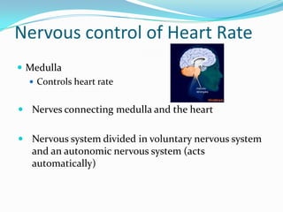 Nervous control of Heart Rate
 Medulla
   Controls heart rate


 Nerves connecting medulla and the heart


 Nervous system divided in voluntary nervous system
   and an autonomic nervous system (acts
   automatically)
 