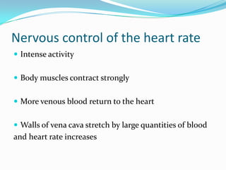 Nervous control of the heart rate
 Intense activity


 Body muscles contract strongly


 More venous blood return to the heart


 Walls of vena cava stretch by large quantities of blood
and heart rate increases
 