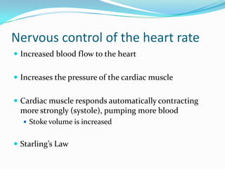 Nervous control of the heart rate
 Increased blood flow to the heart


 Increases the pressure of the cardiac muscle


 Cardiac muscle responds automatically contracting
 more strongly (systole), pumping more blood
   Stoke volume is increased


 Starling’s Law
 