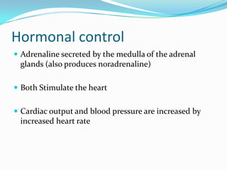 Hormonal control
 Adrenaline secreted by the medulla of the adrenal
 glands (also produces noradrenaline)

 Both Stimulate the heart


 Cardiac output and blood pressure are increased by
 increased heart rate
 