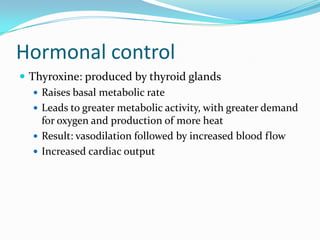 Hormonal control
 Thyroxine: produced by thyroid glands
    Raises basal metabolic rate
    Leads to greater metabolic activity, with greater demand
     for oxygen and production of more heat
    Result: vasodilation followed by increased blood flow
    Increased cardiac output
 