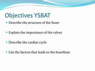 Objectives YSBAT
 Describe the structure of the heart


 Explain the importance of the valves


 Describe the cardiac cycle


 List the factors that leads to the heartbeat
 