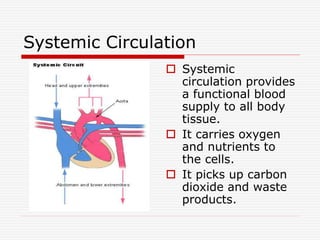 Systemic Circulation
 Systemic
circulation provides
a functional blood
supply to all body
tissue.
 It carries oxygen
and nutrients to
the cells.
 It picks up carbon
dioxide and waste
products.
 