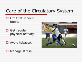 Care of the Circulatory System
 Limit fat in your
foods.
 Get regular
physical activity.
 Avoid tobacco.
 Manage stress.
 