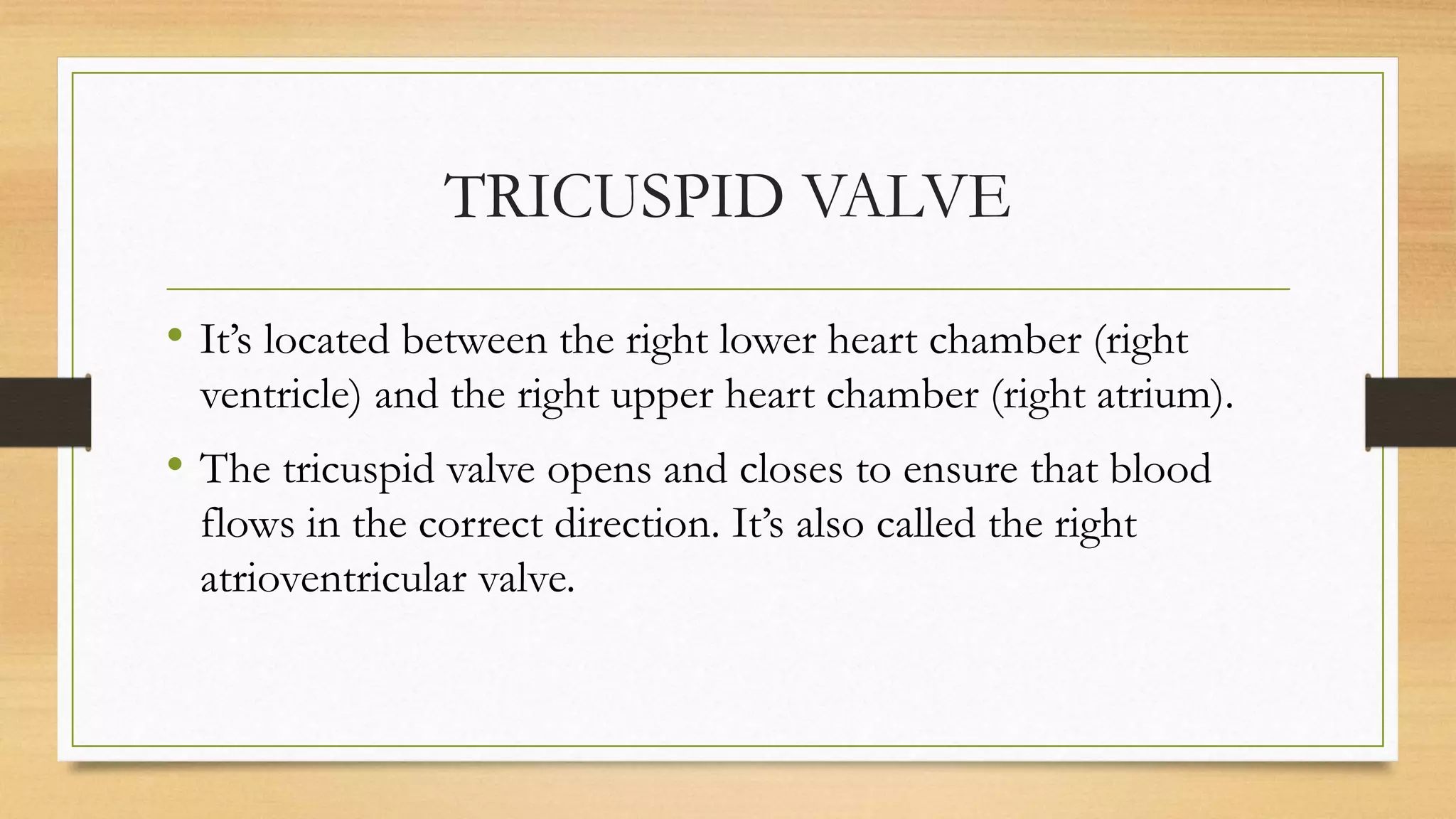 CIRCULATORY SYSTEM ACTIVITY.pptx