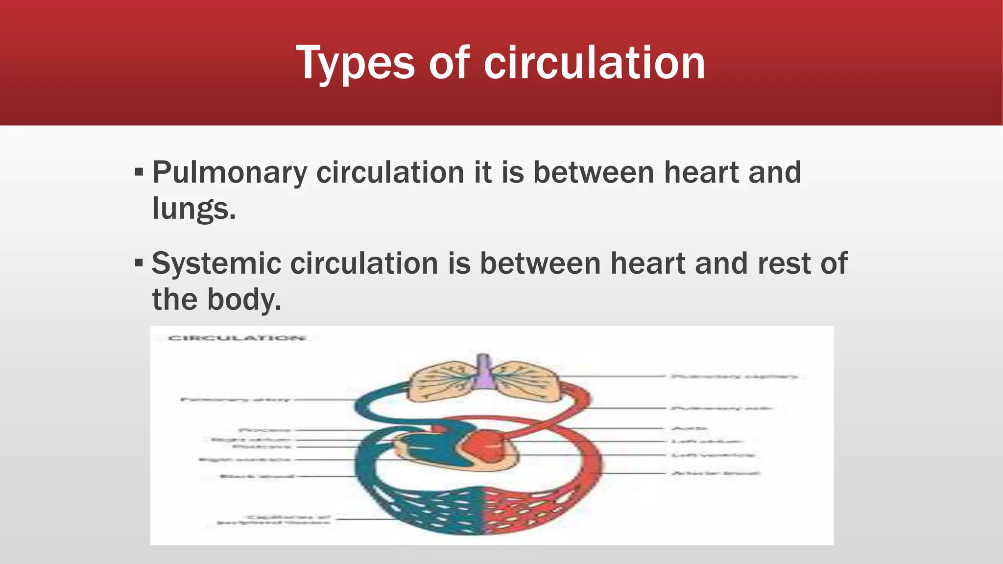 Circulatory System And Its Types Biology o Level PPT circulatory-system-and-its-types-biology-o-level-ppt