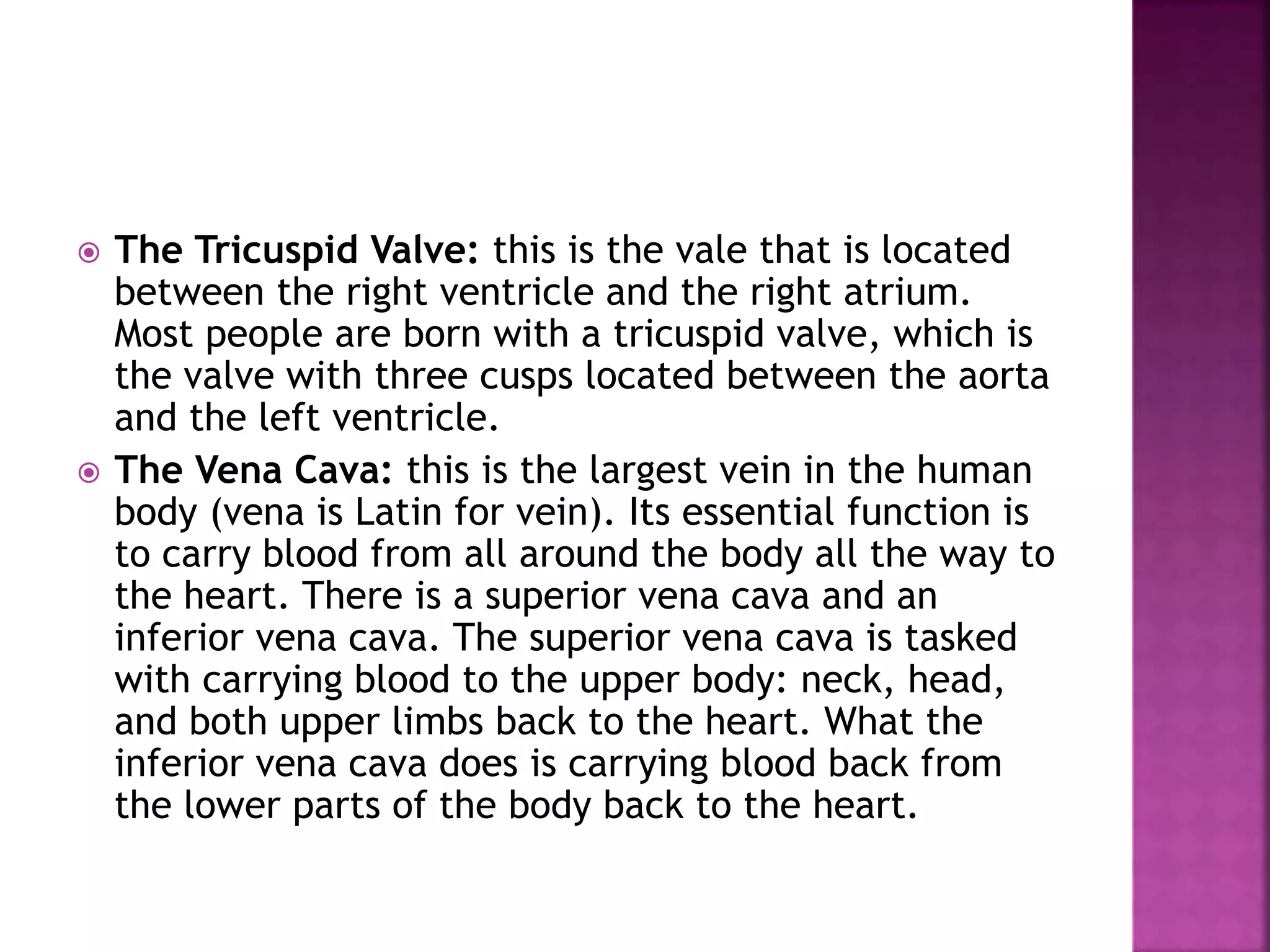  The Tricuspid Valve: this is the vale that is located
between the right ventricle and the right atrium.
Most people are born with a tricuspid valve, which is
the valve with three cusps located between the aorta
and the left ventricle.
 The Vena Cava: this is the largest vein in the human
body (vena is Latin for vein). Its essential function is
to carry blood from all around the body all the way to
the heart. There is a superior vena cava and an
inferior vena cava. The superior vena cava is tasked
with carrying blood to the upper body: neck, head,
and both upper limbs back to the heart. What the
inferior vena cava does is carrying blood back from
the lower parts of the body back to the heart.
 