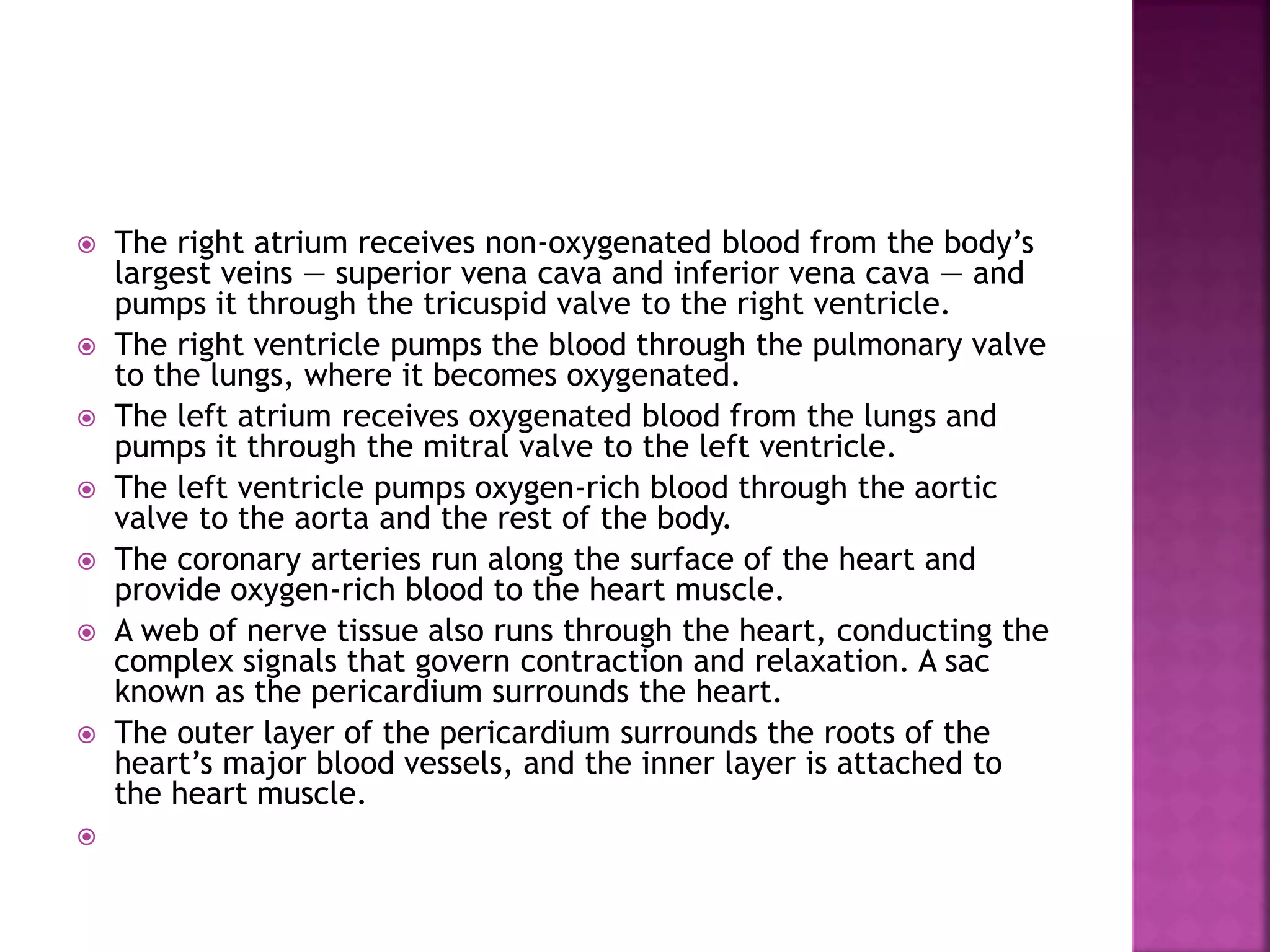  The right atrium receives non-oxygenated blood from the body’s
largest veins — superior vena cava and inferior vena cava — and
pumps it through the tricuspid valve to the right ventricle.
 The right ventricle pumps the blood through the pulmonary valve
to the lungs, where it becomes oxygenated.
 The left atrium receives oxygenated blood from the lungs and
pumps it through the mitral valve to the left ventricle.
 The left ventricle pumps oxygen-rich blood through the aortic
valve to the aorta and the rest of the body.
 The coronary arteries run along the surface of the heart and
provide oxygen-rich blood to the heart muscle.
 A web of nerve tissue also runs through the heart, conducting the
complex signals that govern contraction and relaxation. A sac
known as the pericardium surrounds the heart.
 The outer layer of the pericardium surrounds the roots of the
heart’s major blood vessels, and the inner layer is attached to
the heart muscle.

 