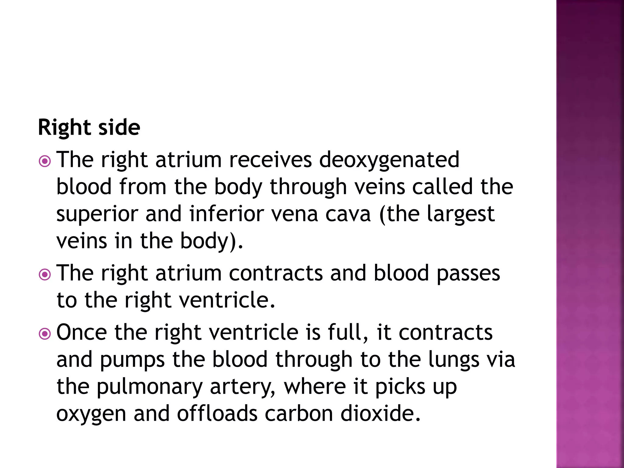 Right side
 The right atrium receives deoxygenated
blood from the body through veins called the
superior and inferior vena cava (the largest
veins in the body).
 The right atrium contracts and blood passes
to the right ventricle.
 Once the right ventricle is full, it contracts
and pumps the blood through to the lungs via
the pulmonary artery, where it picks up
oxygen and offloads carbon dioxide.
 