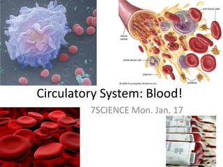 Circulatory System: Blood! 7SCIENCE Mon. Jan. 17 