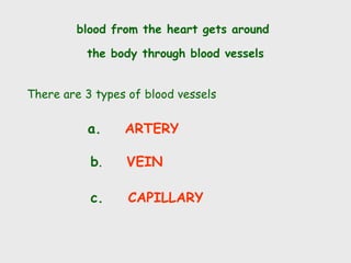 blood from the heart gets around
the body through blood vessels
There are 3 types of blood vessels
a. ARTERY
b. VEIN
c. CAPILLARY
 