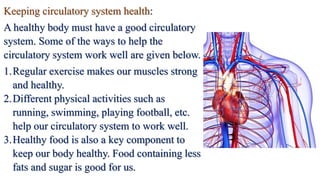 Keeping circulatory system health:
A healthy body must have a good circulatory
system. Some of the ways to help the
circulatory system work well are given below.
1.Regular exercise makes our muscles strong
and healthy.
2.Different physical activities such as
running, swimming, playing football, etc.
help our circulatory system to work well.
3.Healthy food is also a key component to
keep our body healthy. Food containing less
fats and sugar is good for us.
 