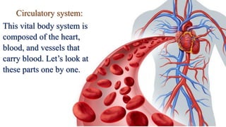 Circulatory system:
This vital body system is
composed of the heart,
blood, and vessels that
carry blood. Let’s look at
these parts one by one.
 
