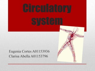 Circulatory
          system

Eugenia Cortes A01153936
Clarisa Abella A01153796
 