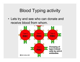 Circulatory System cp | PDF
