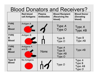 Circulatory System cp | PDF