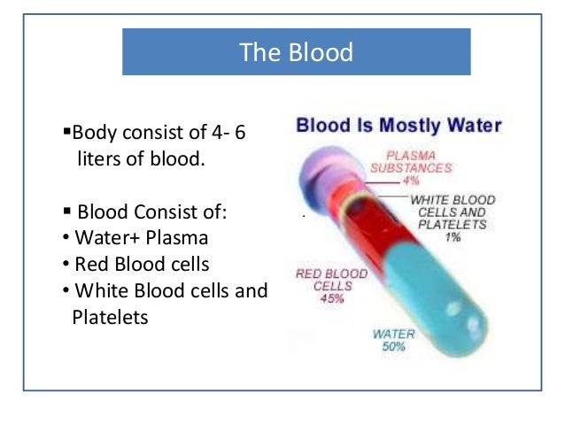 Circulatory system diploma