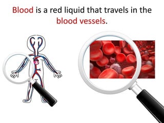 Blood is a red liquid that travels in the
blood vessels.
 